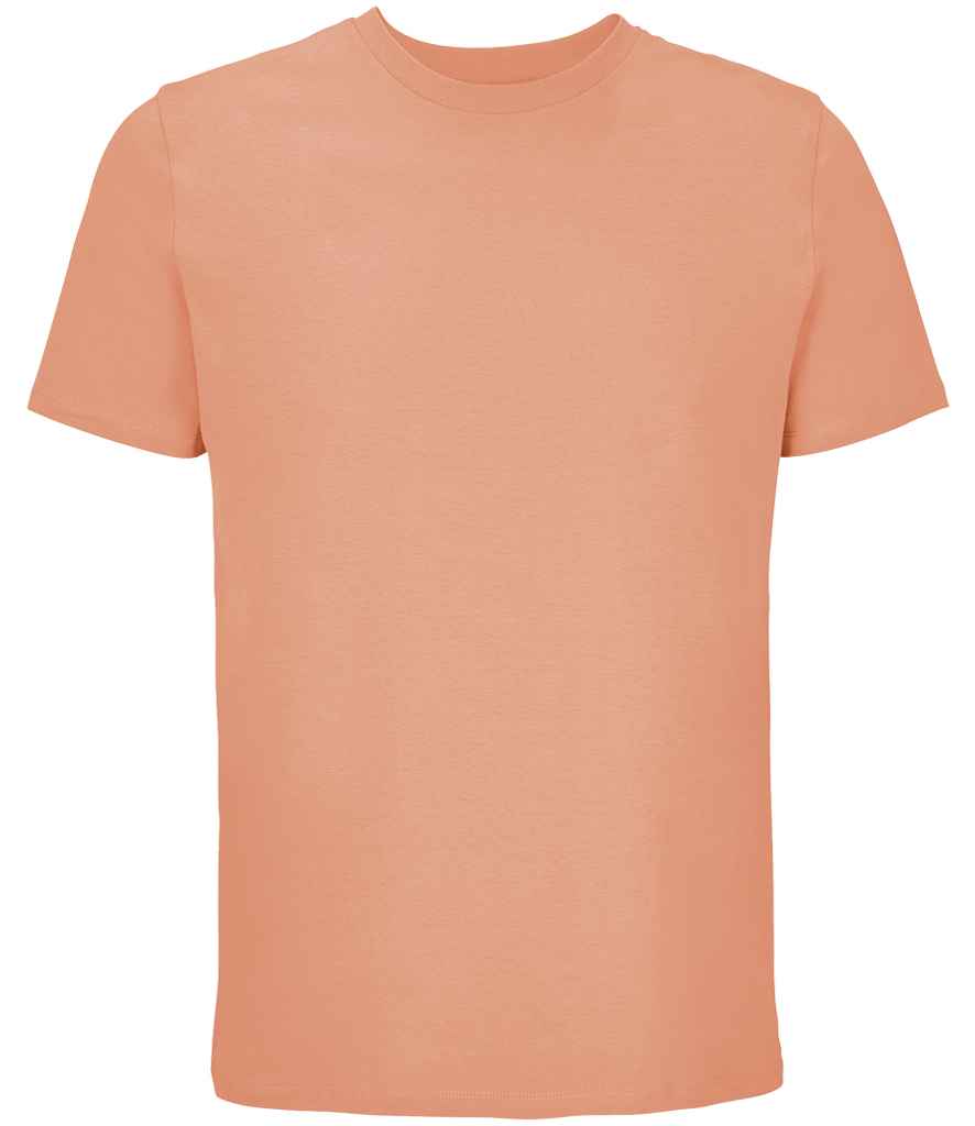 03981 pch 3xl