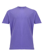 Heavyweight adult t-shirt