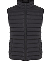 Light puffer vest