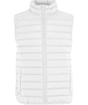 Light puffer vest