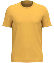 NS305 SNY 5XL