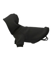 Dog’s hoodie
