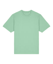 Freestyler relaxed heavy t-shirt (STTU788)