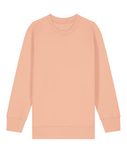 Kids Mini Changer 2.0 iconic crew neck sweatshirt (STSK181)