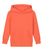 Kids Mini Cruiser 2.0 iconic hoodie sweatshirt (STSK180)