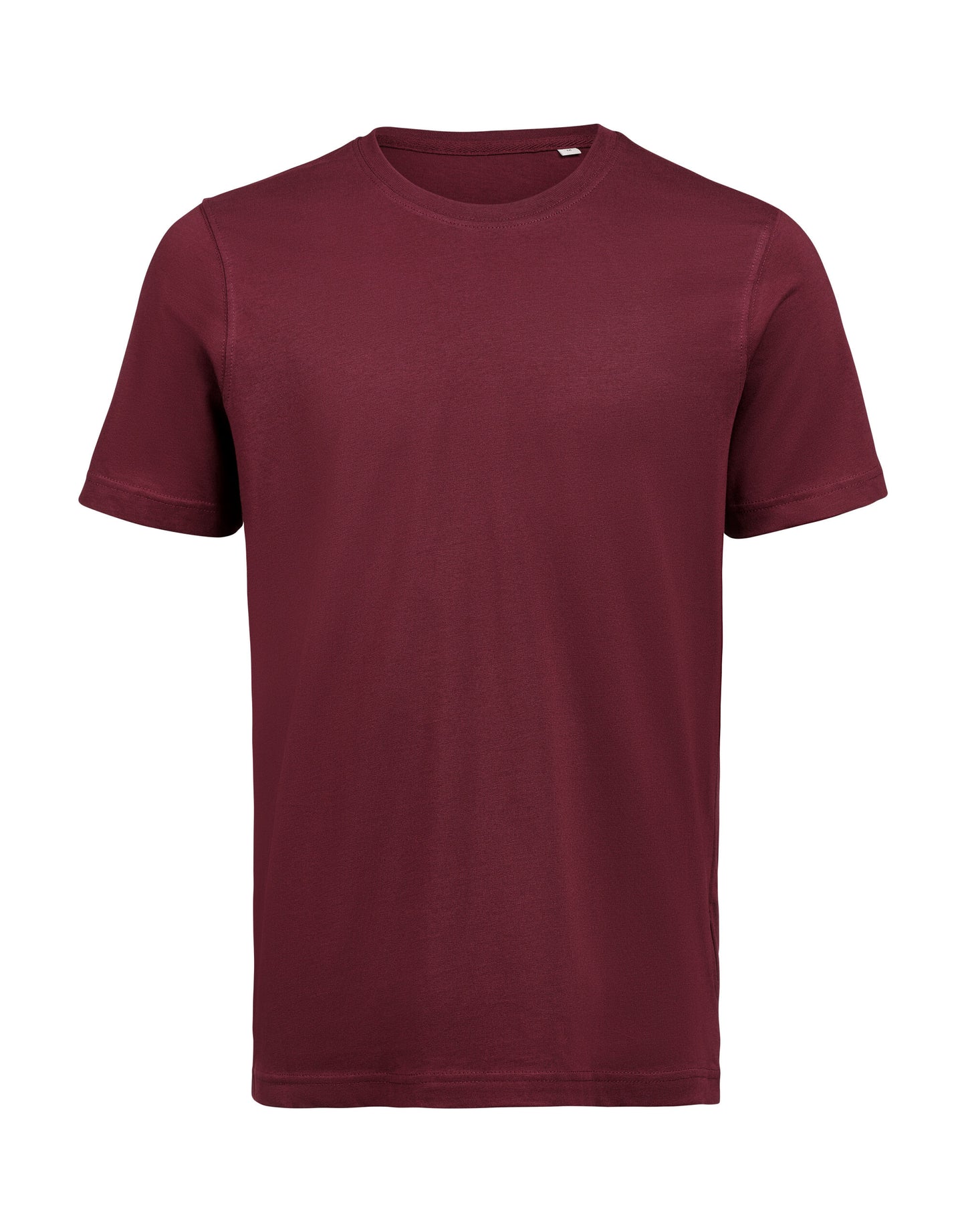 um t-shirt regular fit ocs