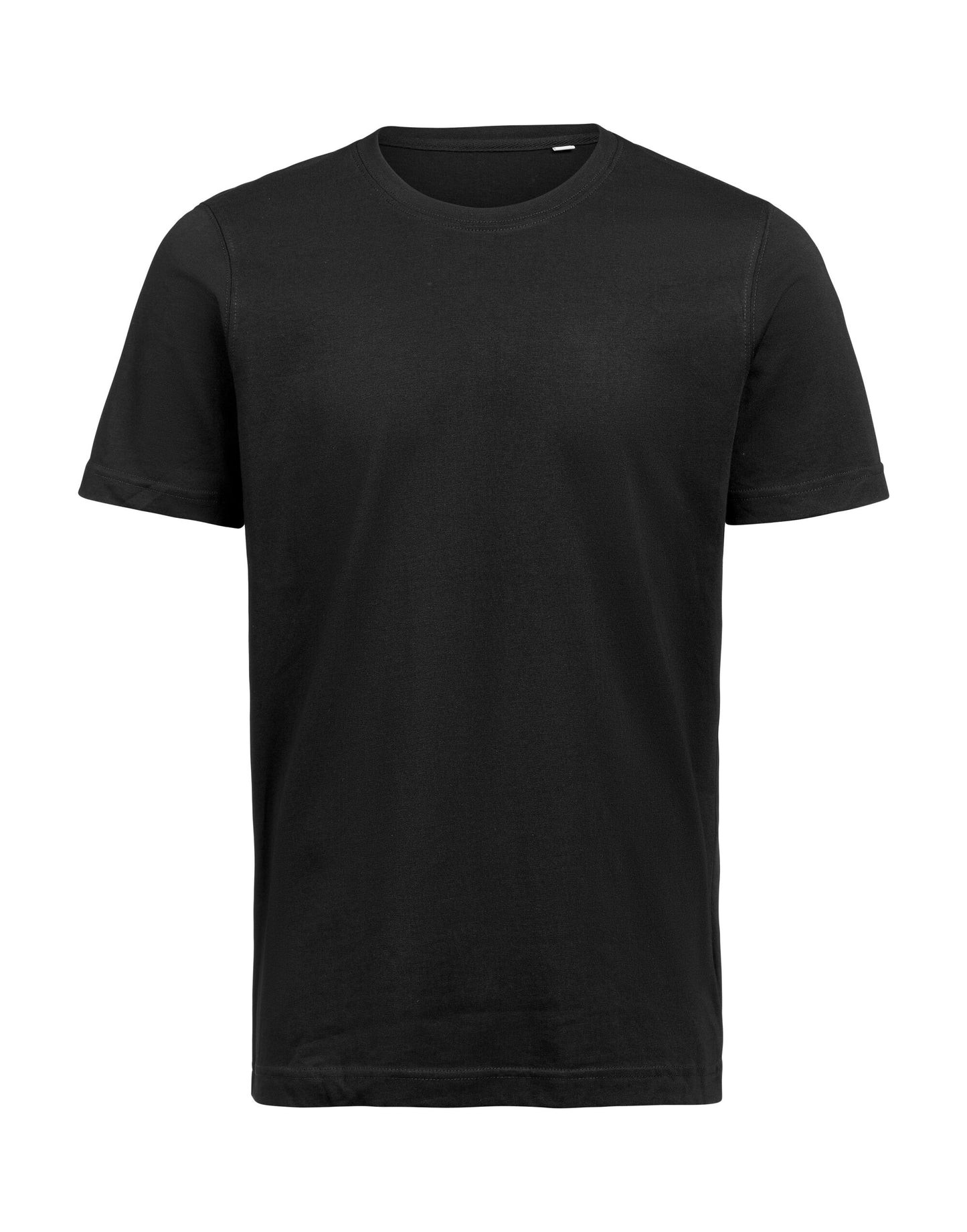 um t-shirt regular fit ocs